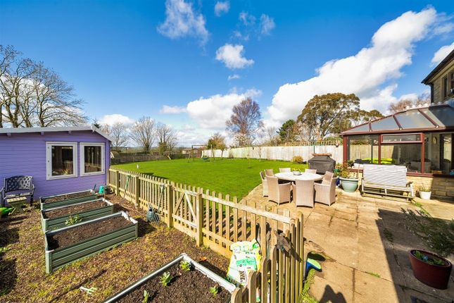 7, Ham Meadow, Sturminster Newton photo 3