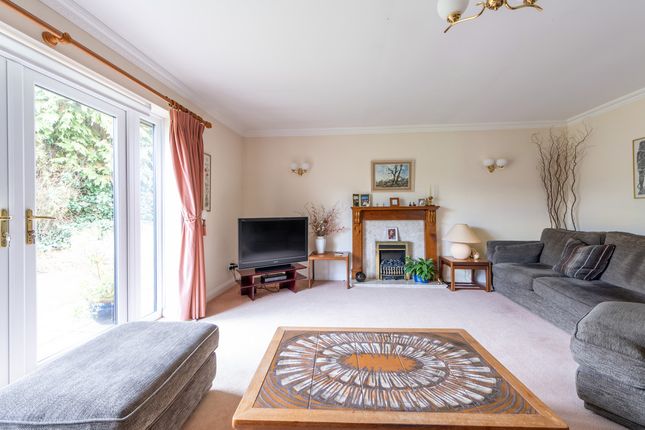 Dinhay, Sturminster Newton photo 3
