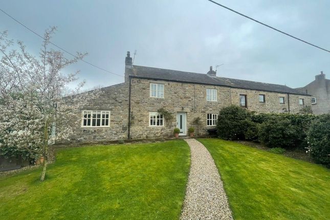 Thumbnail Property to rent in Newsham, Richmond, North Yorkshire