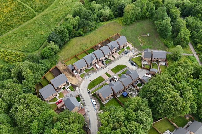 Aerial Site