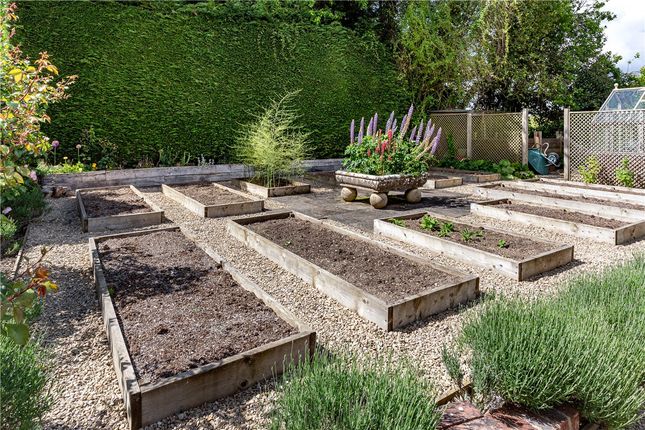 Vegetable Garden
