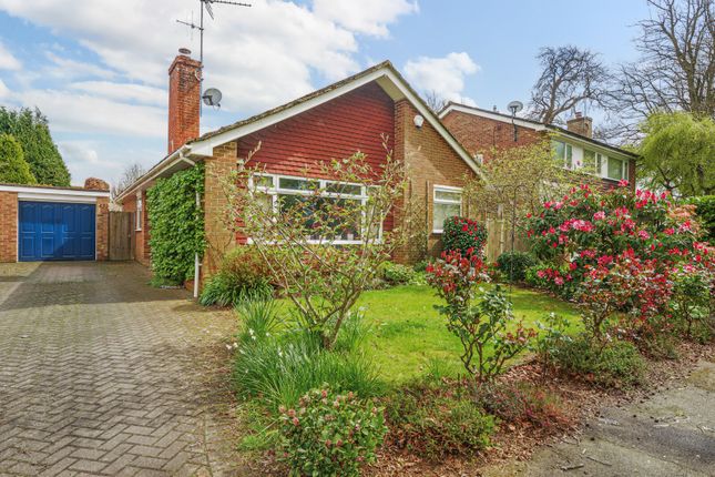 Thumbnail Bungalow for sale in Chestnut Way, Godalming