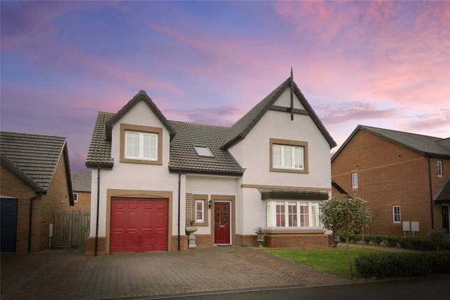 Thumbnail Detached house for sale in Chisholm Drive, Dumfries, Dumfries And Galloway