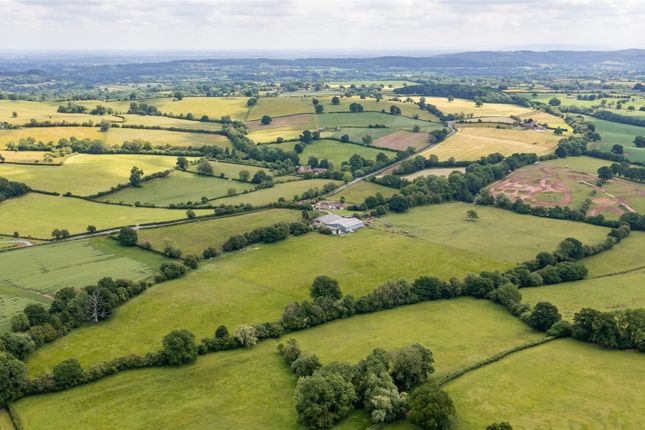 Dji_0679.Jpg