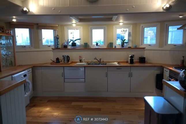 Murre, The Quay Conyer, Sittingbourne photo 2