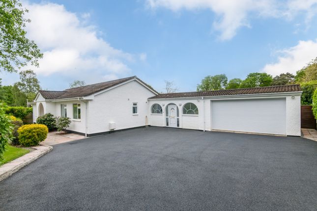Thumbnail Bungalow for sale in Higher Broad Oak Road, West Hill, Ottery St. Mary