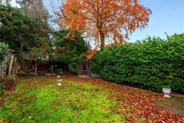Edera, Hendon Wood Lane, London photo 3