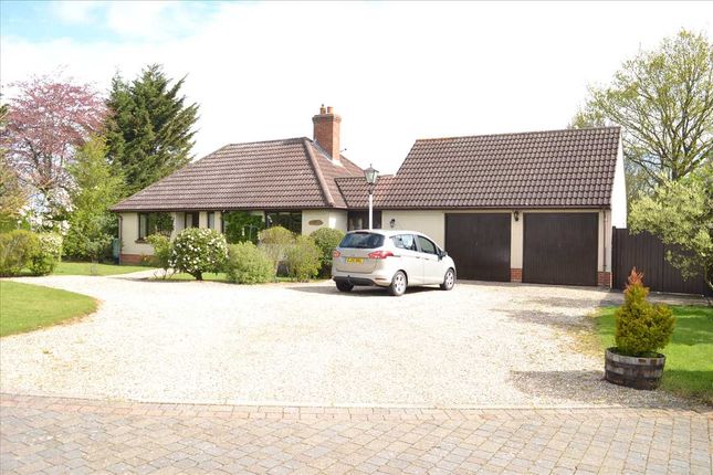 Thumbnail Bungalow for sale in Kepouroikos, Domsey Lane, Little Waltham, Chelmsford