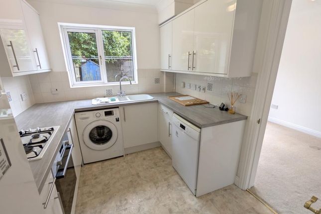 26, Gardenia Drive, West End photo 5