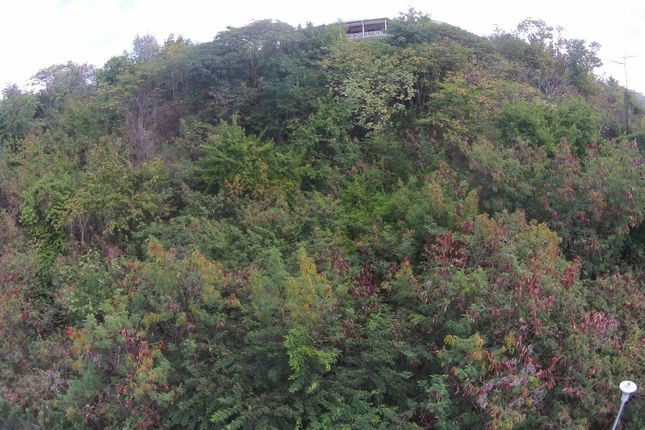 Land for sale in Carlisle Hill, Jolly Harbour, Antigua And Barbuda