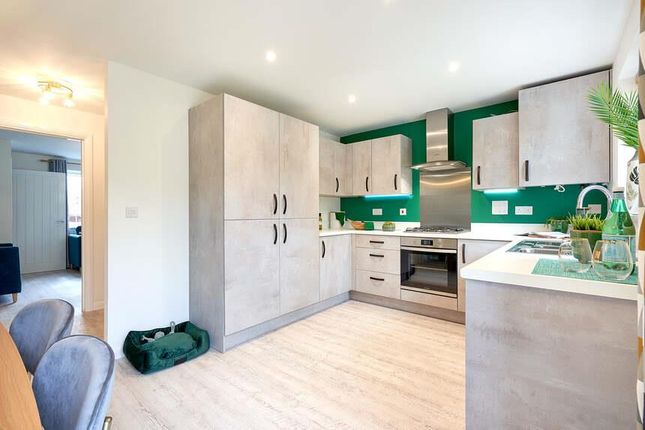 Plot 43, 76, Storksbill Road, Priors Hall Park photo 3