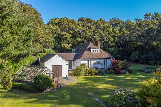 Detached house for sale in Hightown Hill, Ringwood