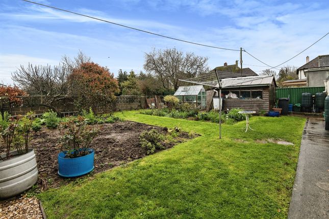 Detached bungalow for sale in Lear Lane, Axminster
