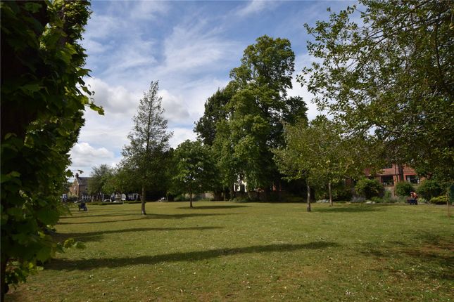 20, Lady Place Court, Alton photo 3