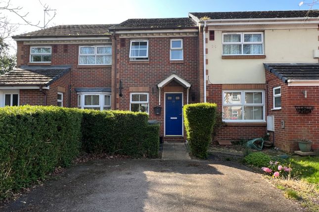 Thumbnail Terraced house to rent in Hatch Mead, West End
