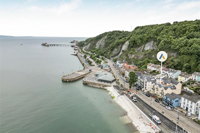 Untitled Design (38).Png