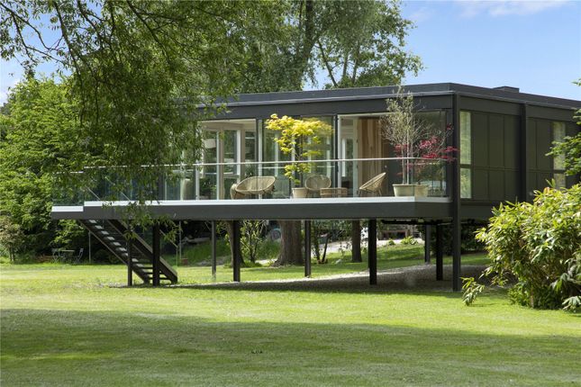 Rear Elevation