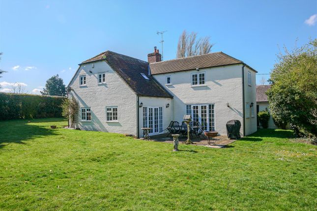 Rear Elevation