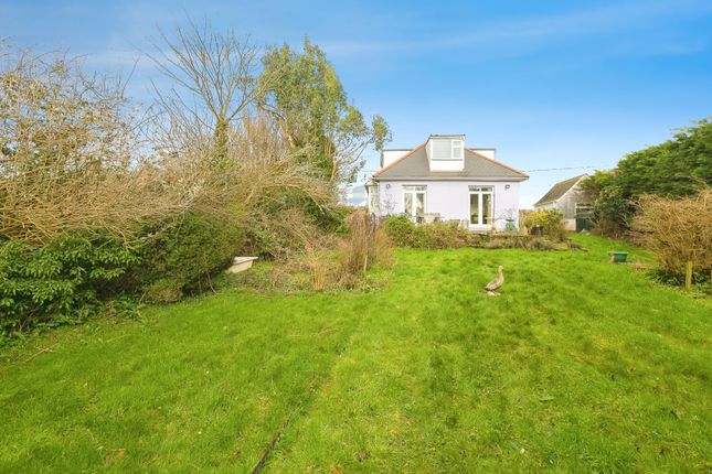 Lavender Cottage,, St. Austell Street, Newquay photo 3