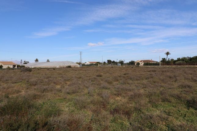 Land for sale in Elche, Alicante, Spain