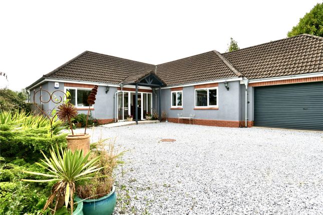 Thumbnail Bungalow for sale in Common Lane, Holcombe, Radstock