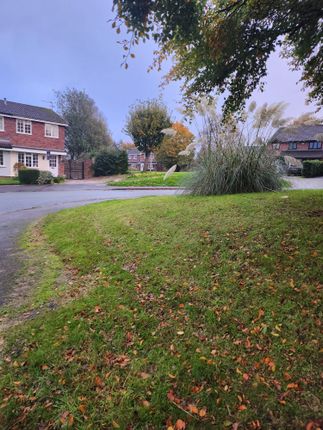 Thumbnail Semi-detached house to rent in Isis Close, Congleton