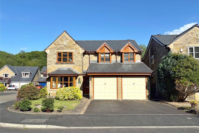 Large Detached Home