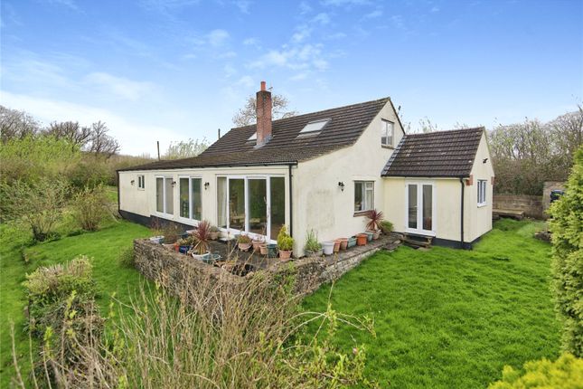 Thumbnail Bungalow for sale in Upper Milton, Wells, Somerset, England