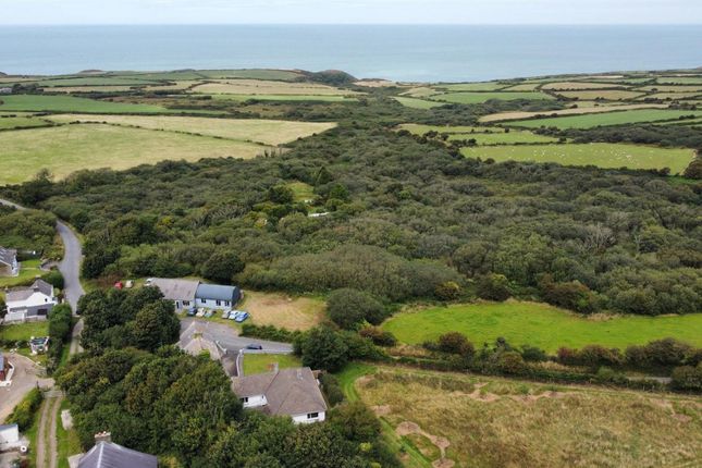 Parc Yr Efail, Goodwick photo 2