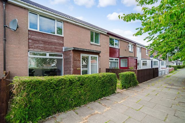 Cullen Drive Glenrothes Ky6 3 Bedroom Terraced House For Sale 58976366 Primelocation