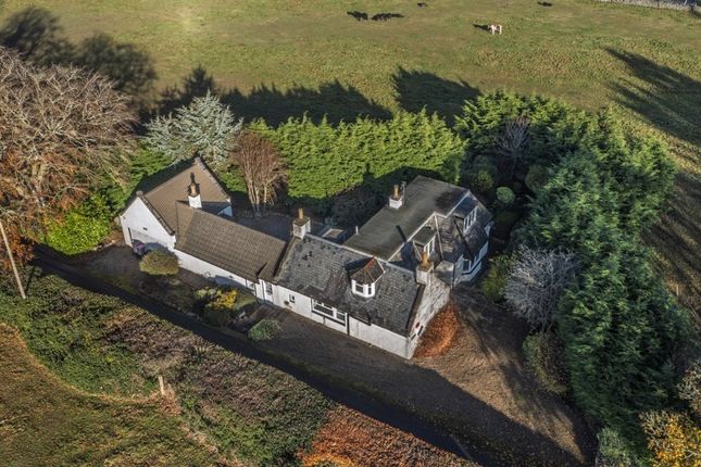 Aerial Elevation