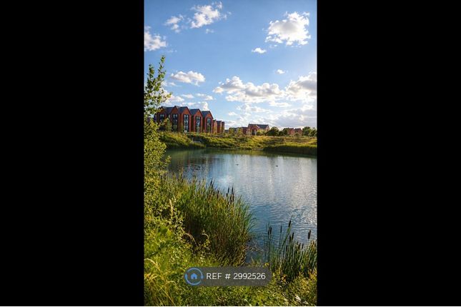 Blythe House, Wishford Row, Swindon photo 3