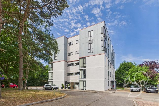 Hzfo6Wdzjeskdt8899D89W (1).Jpg