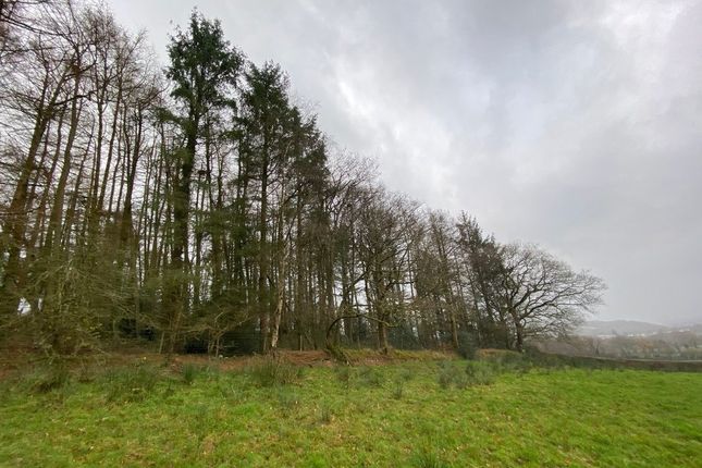 Land for sale in Teifi Valley, Lampeter