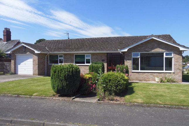 Thumbnail Bungalow to rent in Traherne Close, Lugwardine, Herefordshire