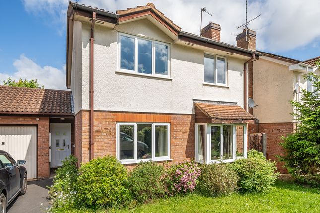 Thumbnail Detached house for sale in Pope Close, Taunton