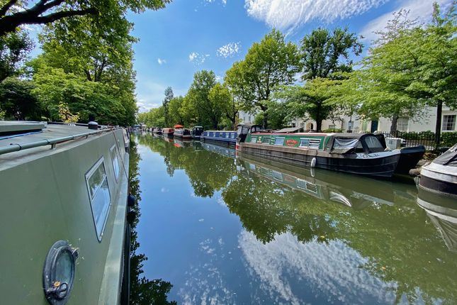 Frog, Maida Vale Avenue, Regents Canal, London photo 4