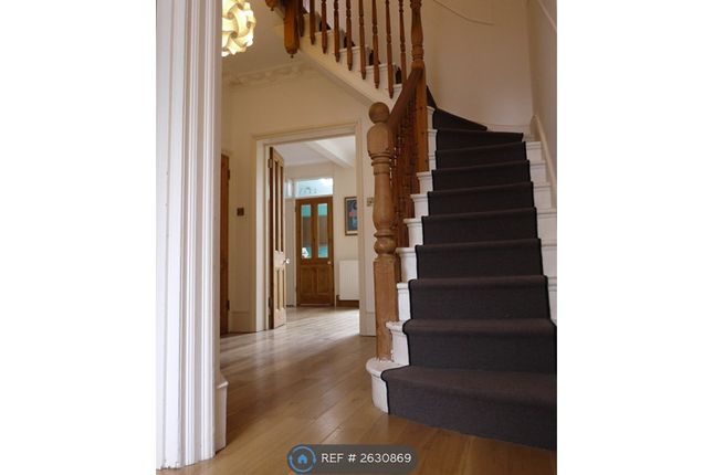 Downstairs Hallway