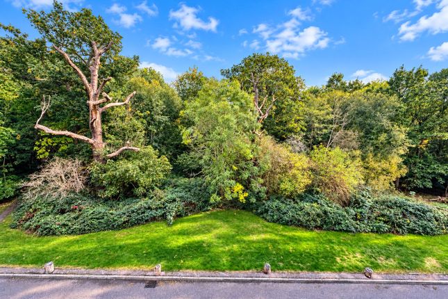 Greensleeves Drive, Brentwood photo 4