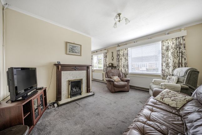 Brynteg, 13, Rhoslan, Welshpool photo 2