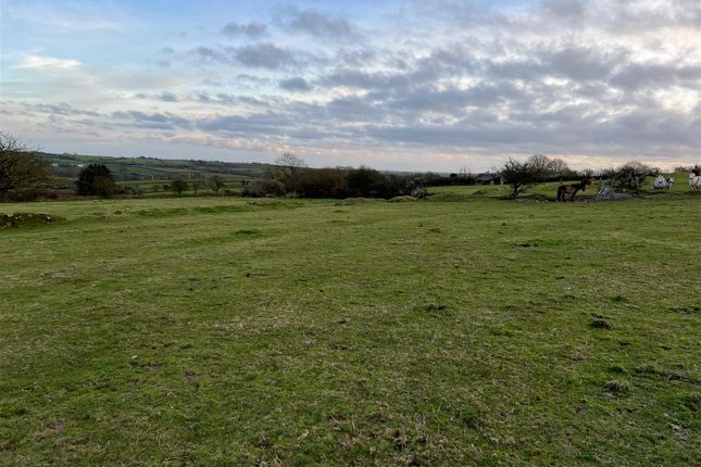 Land for sale in 19.09 Acres Agricultural Land, Little Newcastle, Haverfordwest
