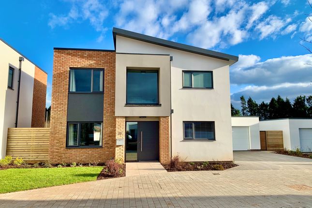 Thumbnail Detached house to rent in Regency Drive, Exeter