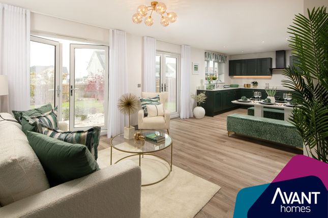 Thumbnail Detached house for sale in "The Rothesay" at Sycamore Drive, Penicuik
