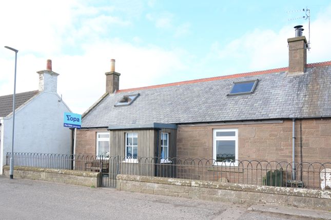 Thumbnail Cottage for sale in Beach Road, Johnshaven, Montrose