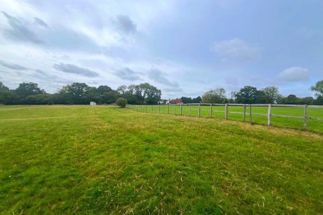 Manor Farm Stud,, Frant, Tunbridge Wells photo 3