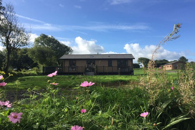 m1, St. Tinney Farm, Cornwall photo 4
