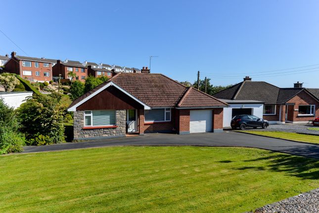 Bungalow for sale in Old Movilla Road, Newtownards, County Down