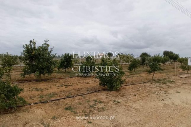 Farmhouse for sale in Galé, 8200-424 Guia, Portugal