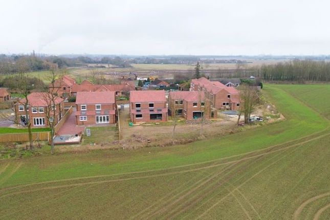 Aerial Shot View 2
