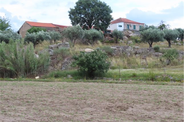 Property for sale in Castelo Branco, Portugal
